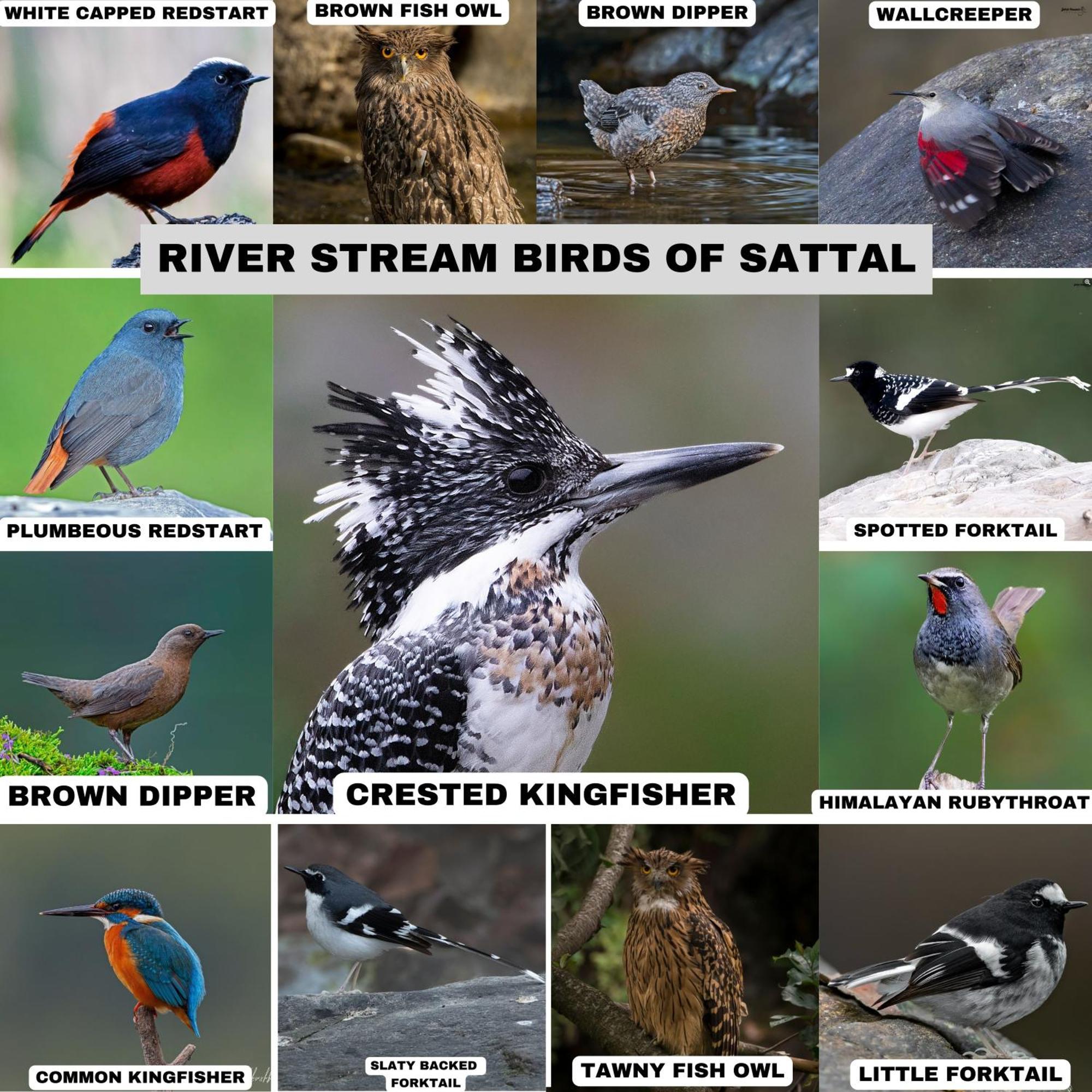 Incredible Birding Camp Apartman Bhīm Tāl Kültér fotó
