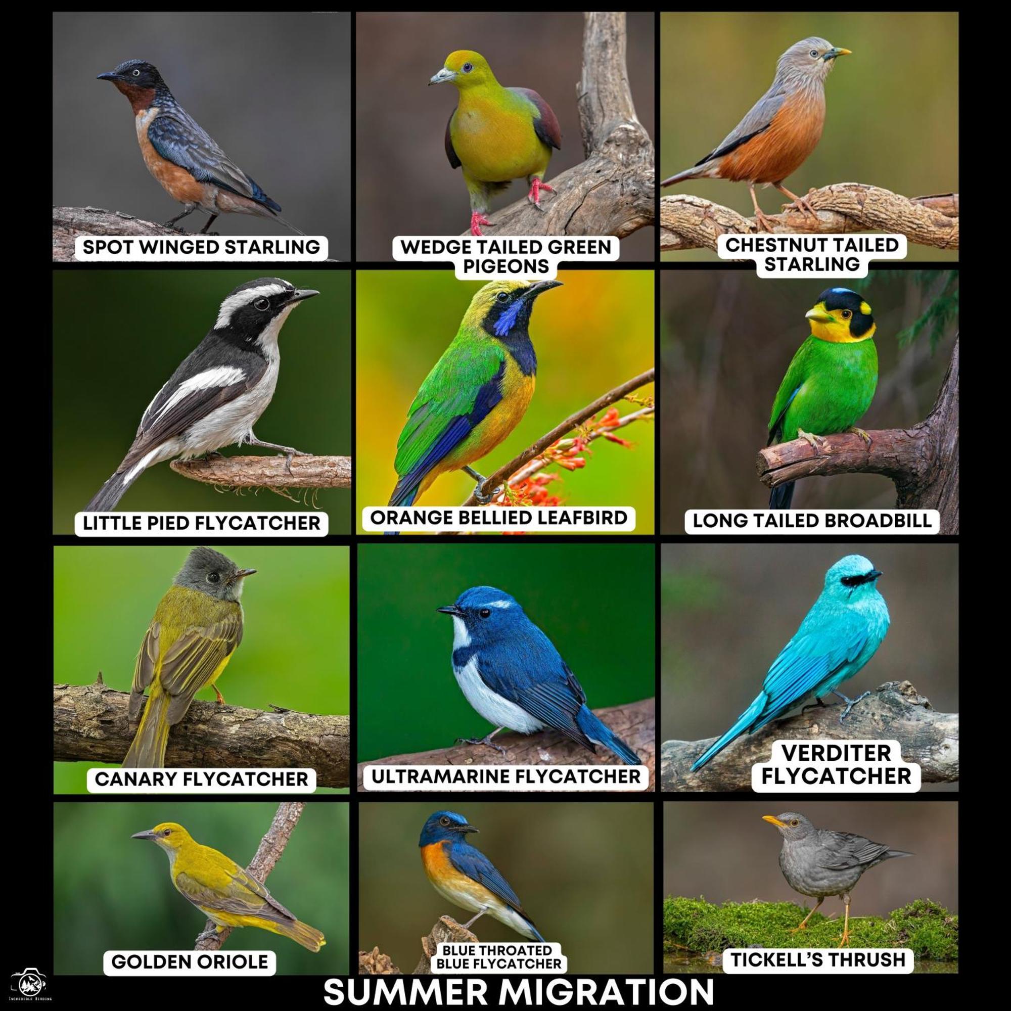 Incredible Birding Camp Apartman Bhīm Tāl Kültér fotó