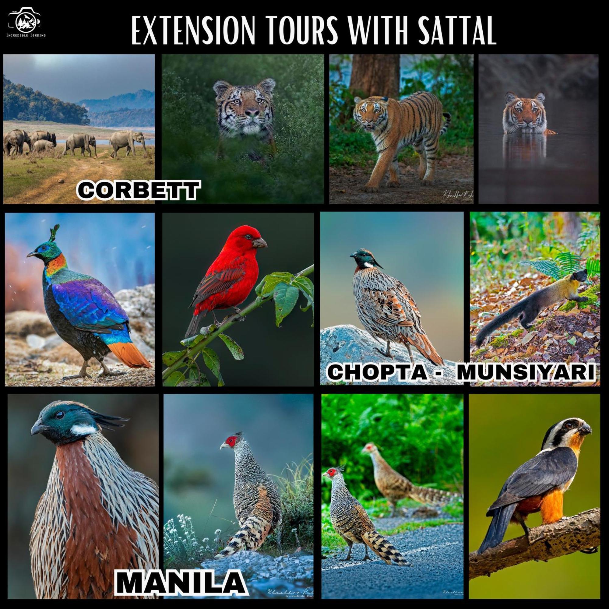 Incredible Birding Camp Apartman Bhīm Tāl Kültér fotó